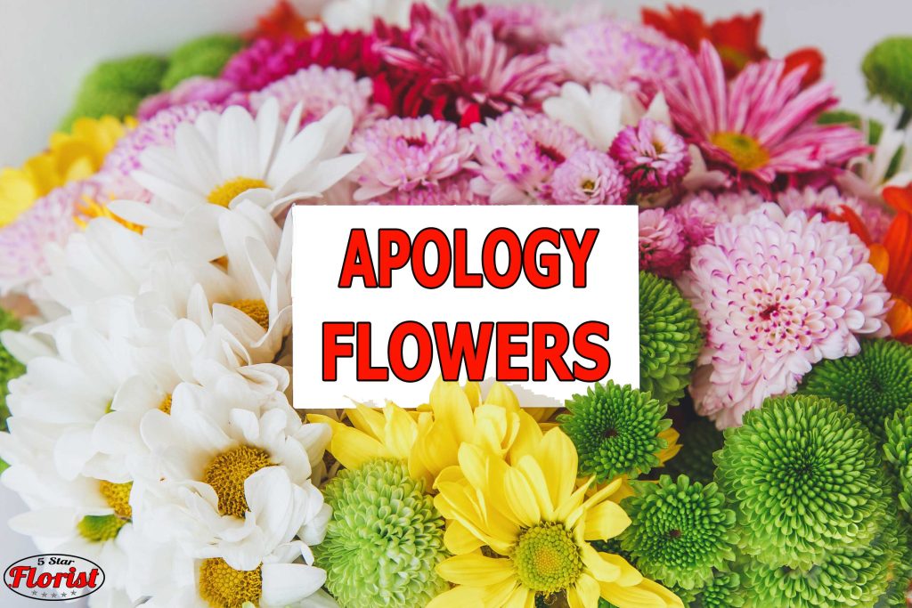 apology flowers Des Moines